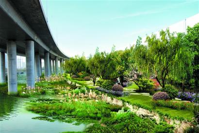 实拍漕河BOB景观生态廊道徐水段毛家营村南一侧的绿化带