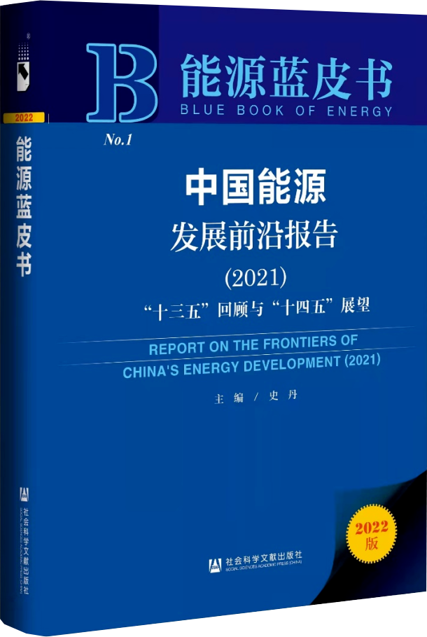 中国能源发BOB展“十三五”回顾与“十四五”展望研讨会暨能源蓝皮书